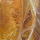 p1070579